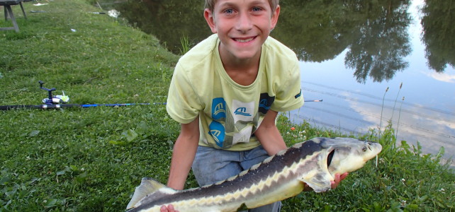 Anglerkurs für Anfänger und Kinder  am Sonntag, 10. Juli 2022, 09:00 – 16:00 Uhr